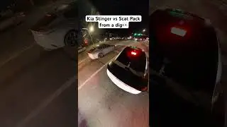 Kia Stinger vs Scat Pack from a dig👀