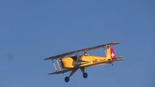 B&uuml;cker Jungmann  B&uuml; 131