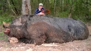 10 шокирующих открытий животных-мутантов