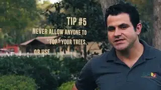 5 Tips For Hiring a Tree Service
