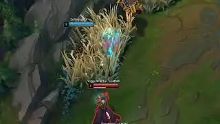 League of Legends ARURF funny moments