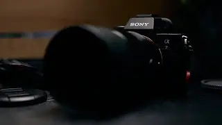 The Best Sony Portrait Lens Under $600