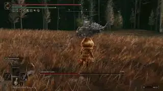 ELDEN RING - Helping others to Beat Commander Gaius