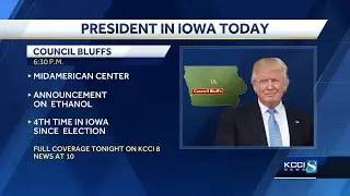 Trump to allow year-round sales of high-ethanol gasoline