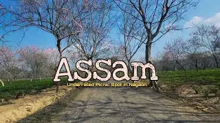 Most Underrated Place in Assam | Chapanala Vlog Part1✨️Nagaon🍂 | Deep Banerjee #vlog16 #vlog #assam