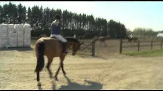 H&M We Love Horses, El Camino a Madrid - Episode 3