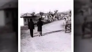 Müşfiq Arifoğlu 