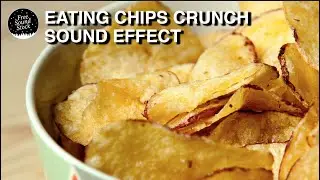 Eating Chips Crunch Sound Effect