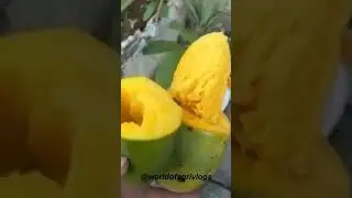 Learn farming
