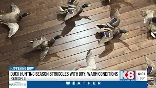 Duck hunting season struggles with dry, warm conditions