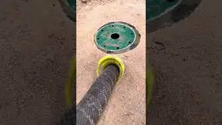 DIY SNAKE TRAP USING bottle to boride in the ground catch big snake