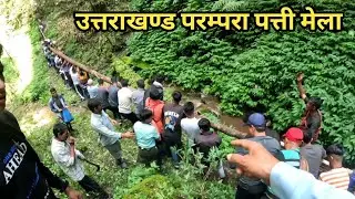 जंगल से पत्ती लाने में किन किन समस्याओं का सामना करना पड़ता है! हैरान हो जाओगे आप! 😇