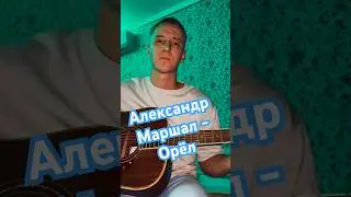 Александр Маршал - Орёл (cover) #гитара #cover #кавер #songs #музыка #голос #песня #guitar #music