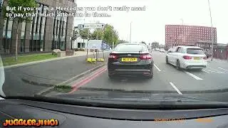 Петух дня № 371 - август 2025 г.