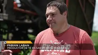 Fabián Laban, productor de té en San Vicente, Misiones