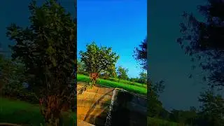 farming reels🌍❤️ #farming #khetibadi #farmer #song