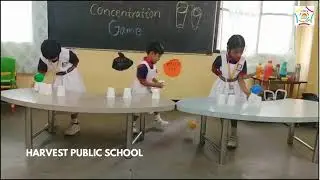 Concentration Game | Focus Activities | Harvest Primary