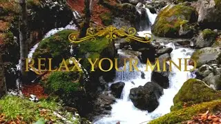 morning music ।relaxing & meditation।mind stable music ।waterfall music ।peaceful yoga।ambient music