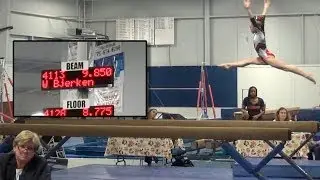 Whitney - Level 4 Gymnastics AA Champion (38.55)