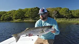 Buzzards Bay Backwater Stripers