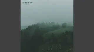 serenity