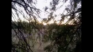 All pictures were taken around where i live.