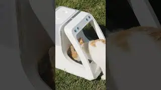 Mealtime has never been easier than with the PawsPik Automatic Microchip RFID Pet Feeder!