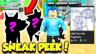 Here's Some EXCLUSIVE SNEAK PEEKS On Pet Fighters Simulator UPDATE 1!! (Roblox)