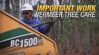 The important work of tree care