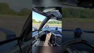 Cars and Animals