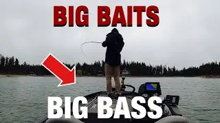 Throwing Big Baits for FAT Smallmouth(pre spawn)(magdraft)