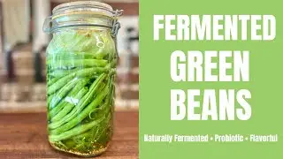 Fermented Green Beans &mdash; Naturally Probiotic & Flavorful