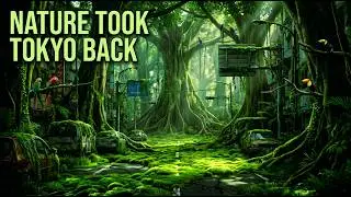 Tokyo After Humans | Nature Reclaims the World&rsquo;s Largest City