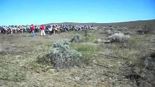 dirt diggers mc desert scrambles 2011