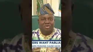 Why Nigerian lawmakers want parliamentary system