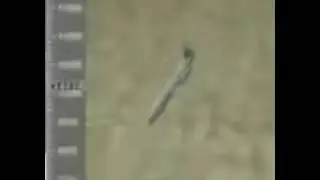 Plane test stall animation (boeing 717-200)