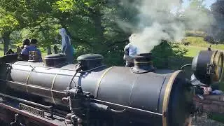 Killesbergpark Stuttgart Germany June 2022 4K