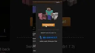 Betacraft