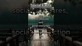 Social Facts #shorts #short #shortvideo #facts #social #socialfacts