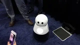 Kuri Robot
