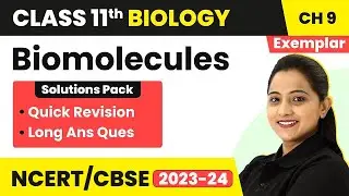 Biomolecules - Quick Revision/ Long Ans Types Questions | Class 11 Biology Chapter 9 NCERT Exemplar