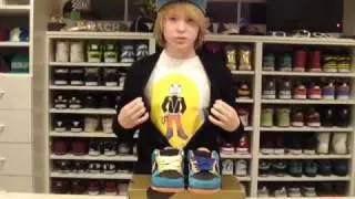 OneVeracity New Pickups : Nike Sb Skate or Die Dunk Low