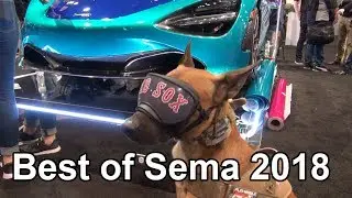Best of Sema 2018 - Girls and Cars