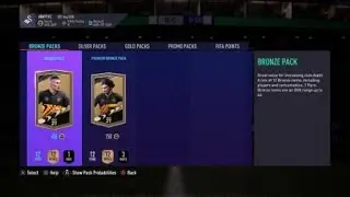 FIFA 21 Base or Mid icon pack