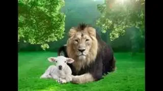 Endangered White Lions with conservationist Linda Tucker