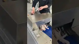 The process of cutting chicken meat #shorts