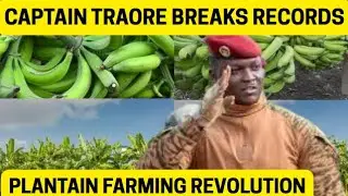 Captain Traor&eacute; SHOCKS the World with Record-Breaking Plantain Farming Revolution!