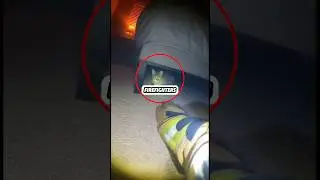 Firefighter body cam shows a cat refusing to leave a burning room. 💔#cat #firefighterbodycam #care