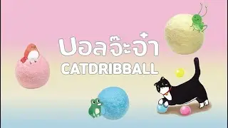 KAFBO Catdribball &nbsp;&nbsp;บอลจ๊ะจ๋า ลูกบอลสำหรับน้องแมว
