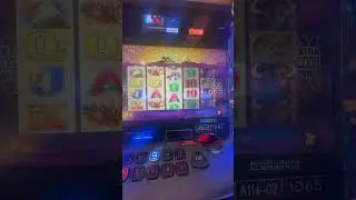 Buffalo Slots 🦬💰🪙 Bonus Video #buffaloslot #casino #slotmachinebonus
